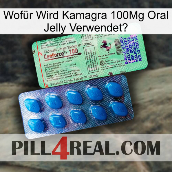 Wofür Wird Kamagra 100Mg Oral Jelly Verwendet0 new02